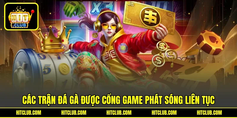Các trận đá gà được cổng game phát sóng liên tục